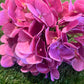 REAL LOOK/TOUCH DELUXE SINGLE HYDRANGEA HOT/DARK PINK