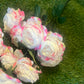 LARGE ENGLISH ROSE/RANUNCULUS BUNCH PINK TIPPED RIPPLE