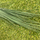 100cm DARK GREEN ONION GRASS