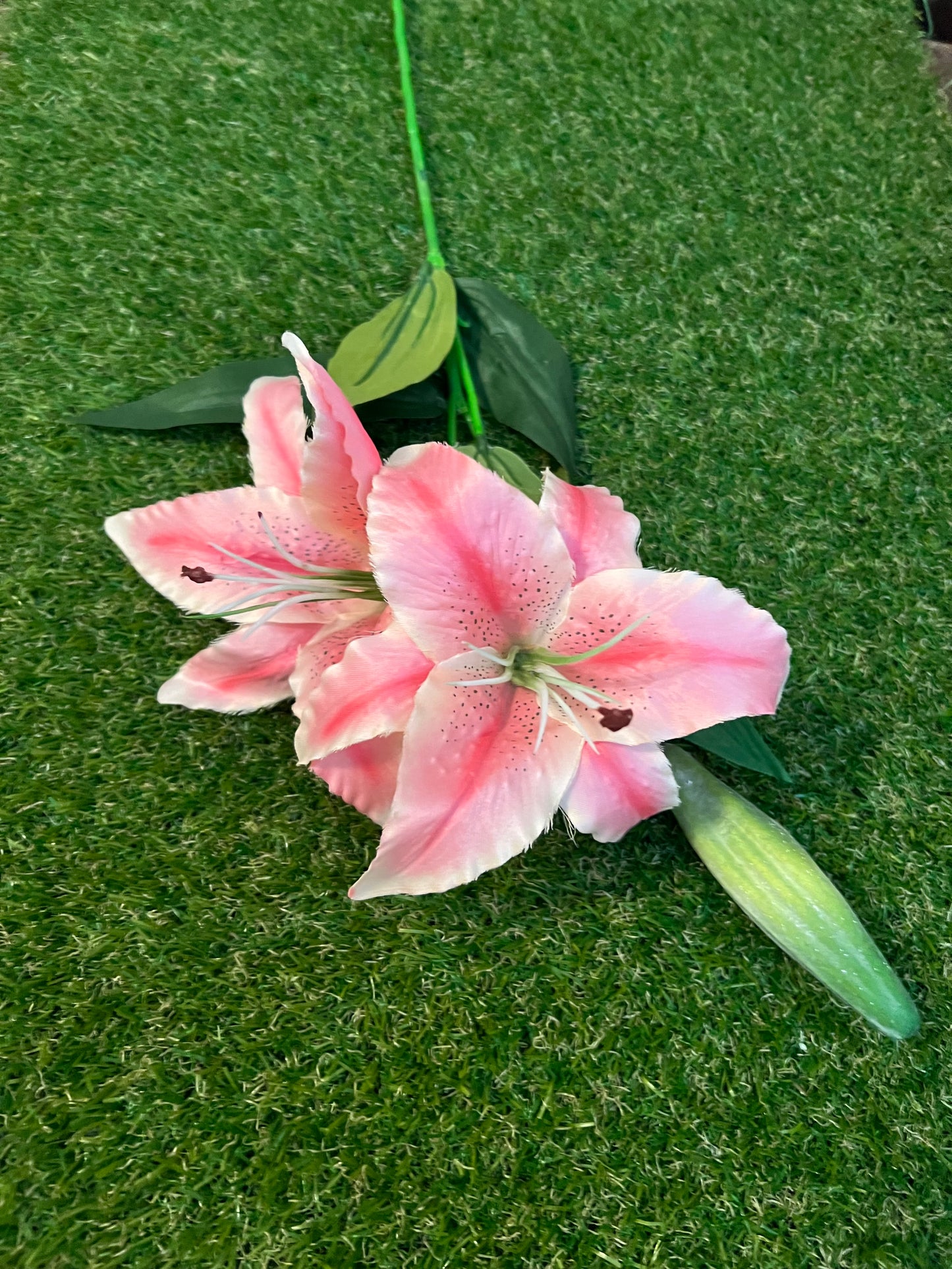 DOUBLE RIPPLE EDGE TIGER LILY SPRAY PINK