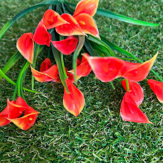 BABY CALLA LILY BUNCH ORANGE