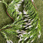 140cm ASTIBLE GARLAND