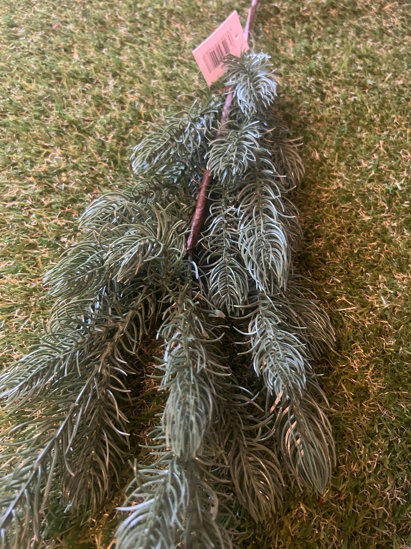 XMAS LARGE SPRUCE STEM