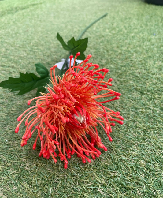 75cm PROTEA ORANGE