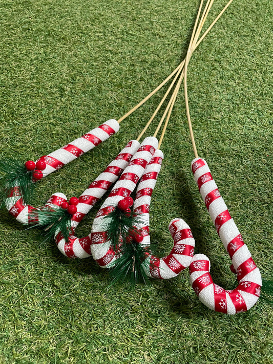 PK5 CANDY CANE SPRUCE PICKS