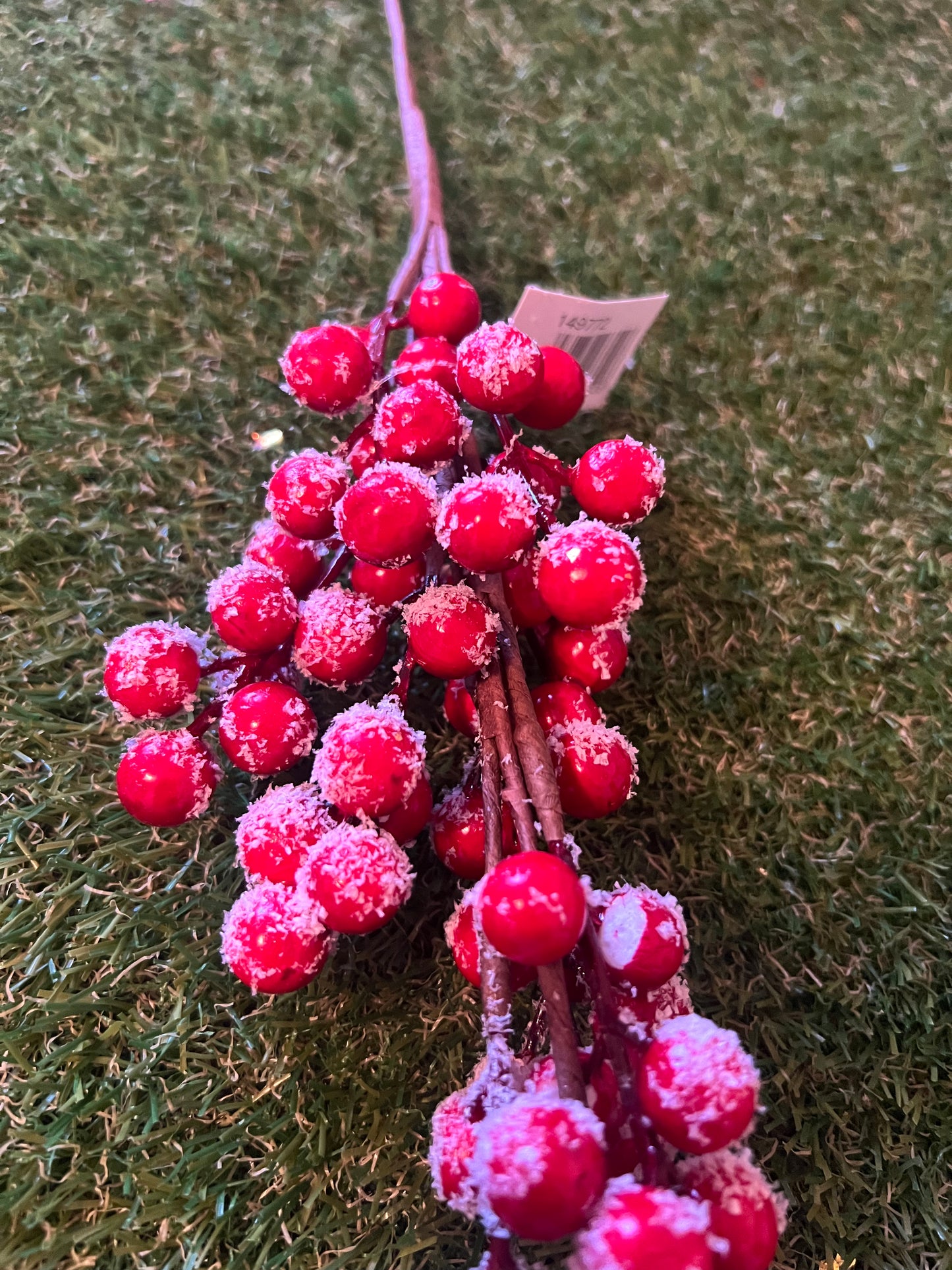 XMAS SNOWY SPICED BERRY STEM