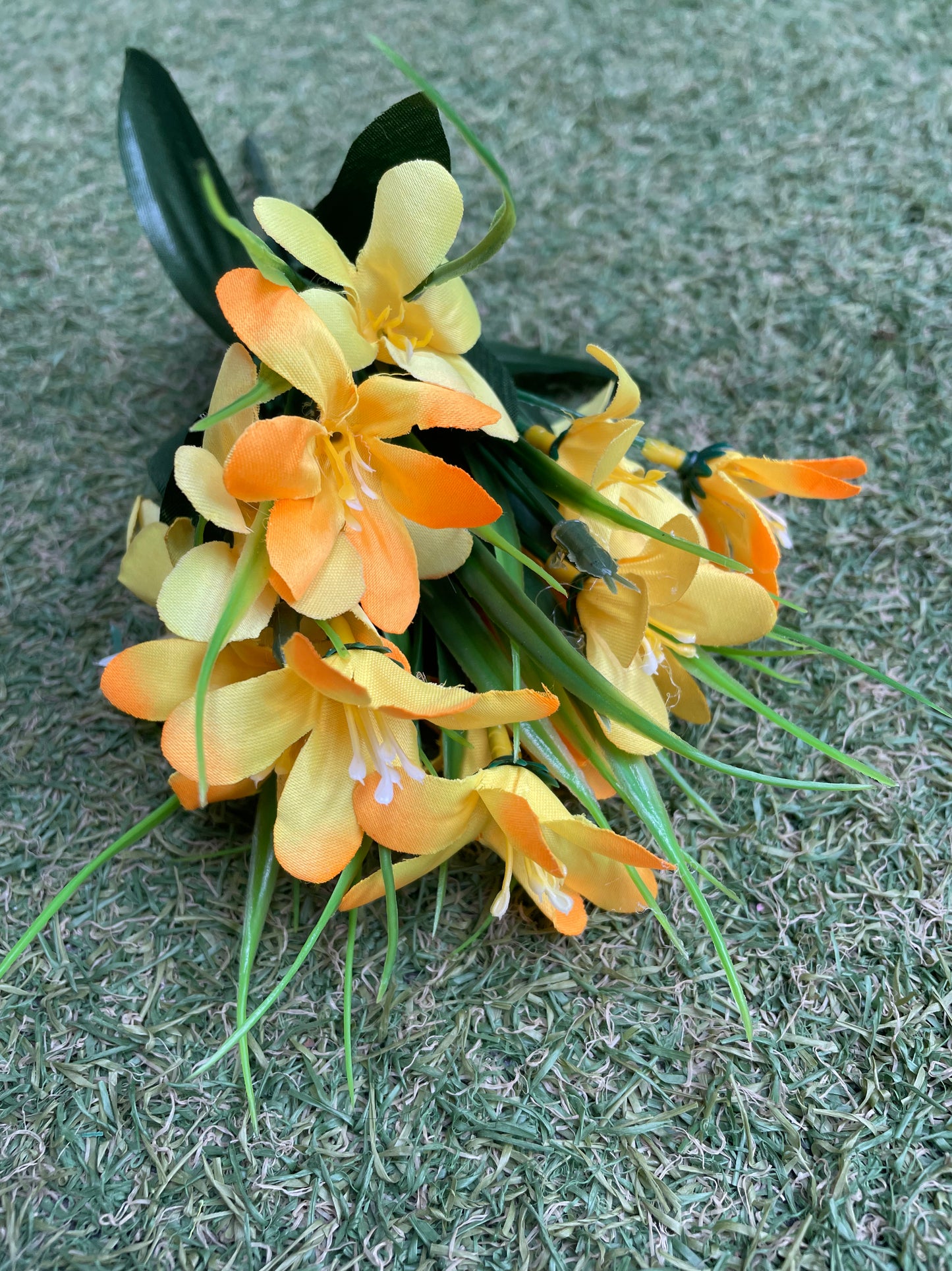 AGAPANTHUS BUNCH YELLOW