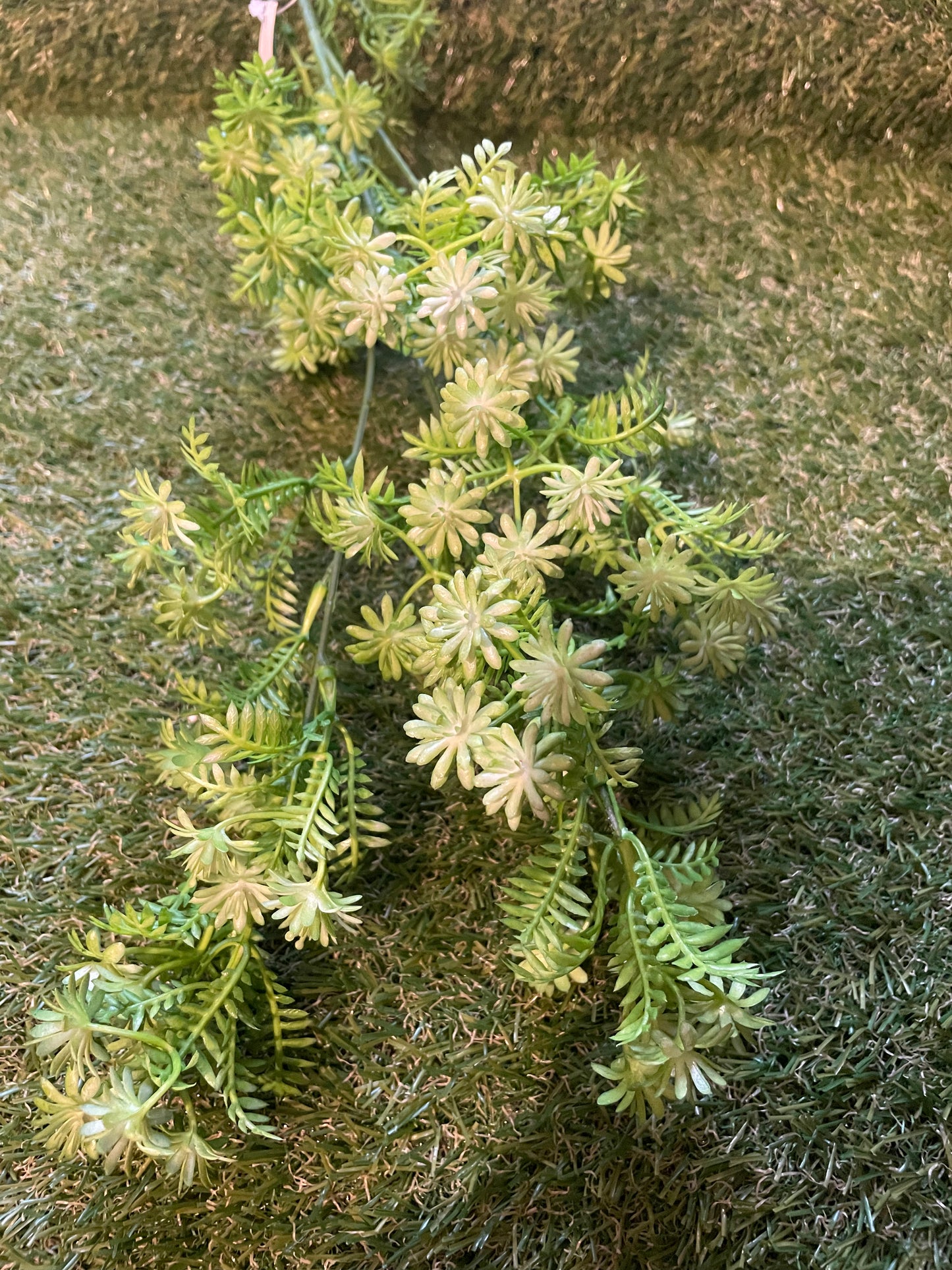 LONG STEM DAISY FOLIAGE GREEN