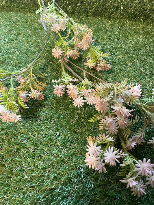 LONG STEM DAISY FOLIAGE PINK