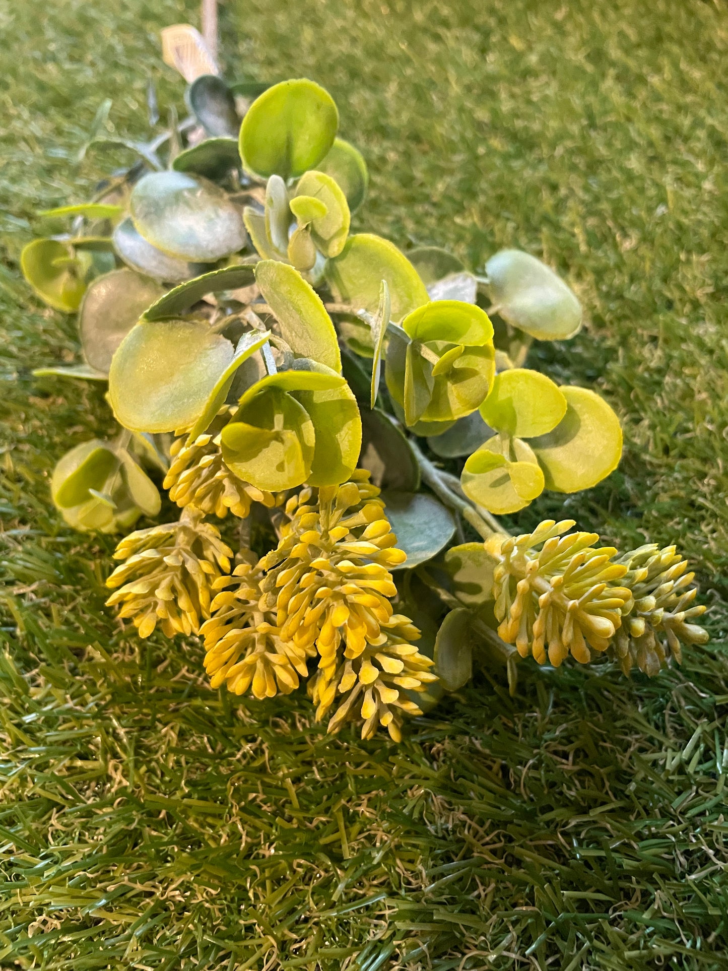 GLOBE EUCALYPTUS STEM YELLOW