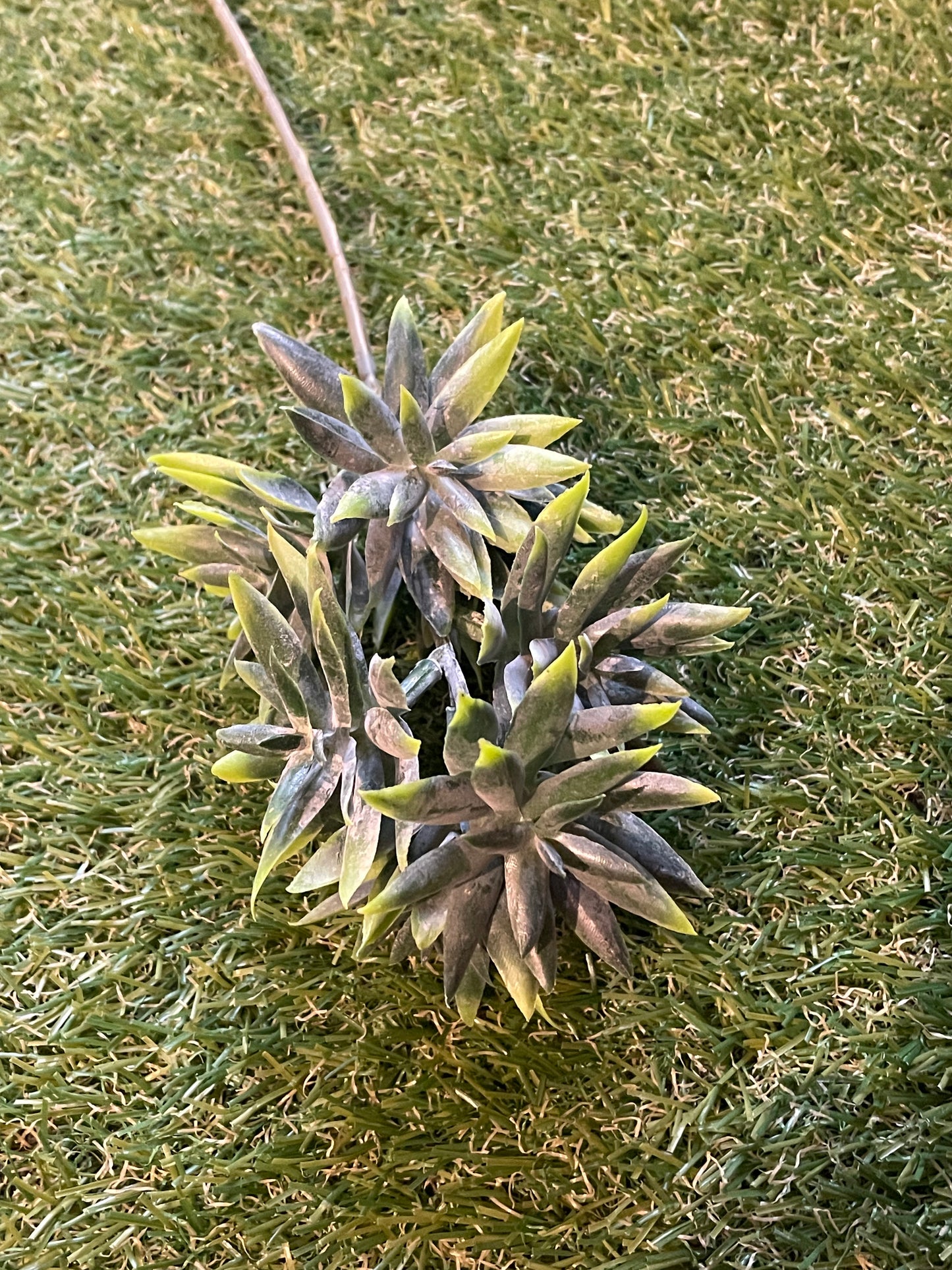 SINGLE SPIKEY ALOE SPRIG GREEN