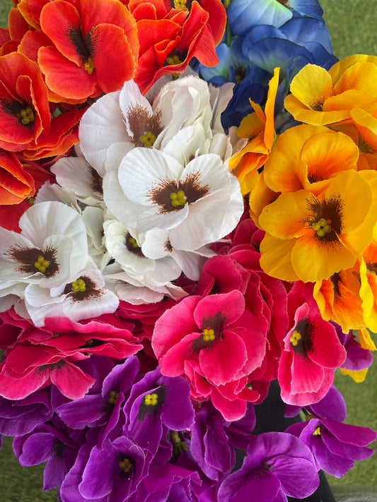 PANSY BUNCH BUNDLE OF 12