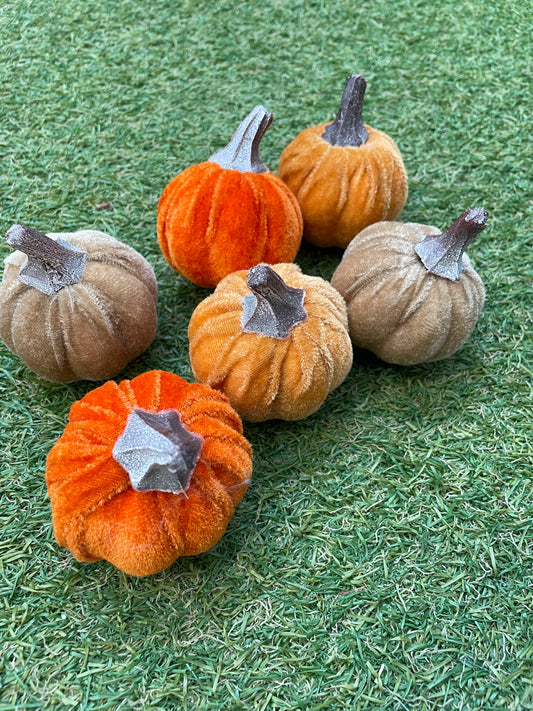 MIX BAG PUMPKINS