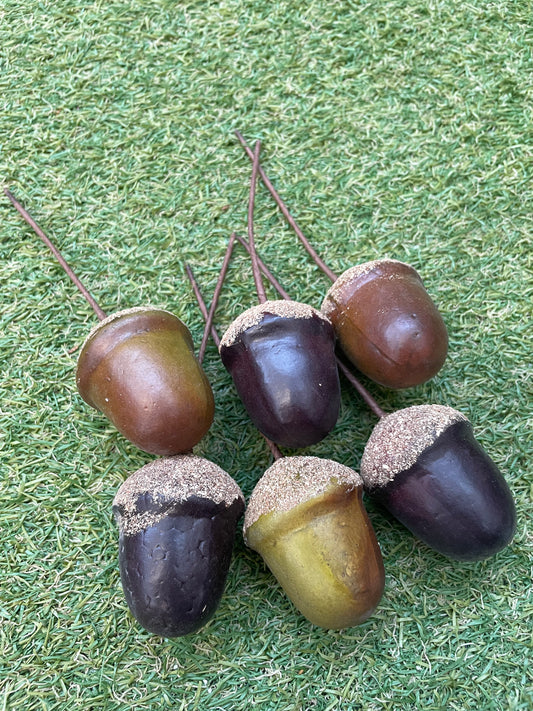 PK6 BROWN ACORN