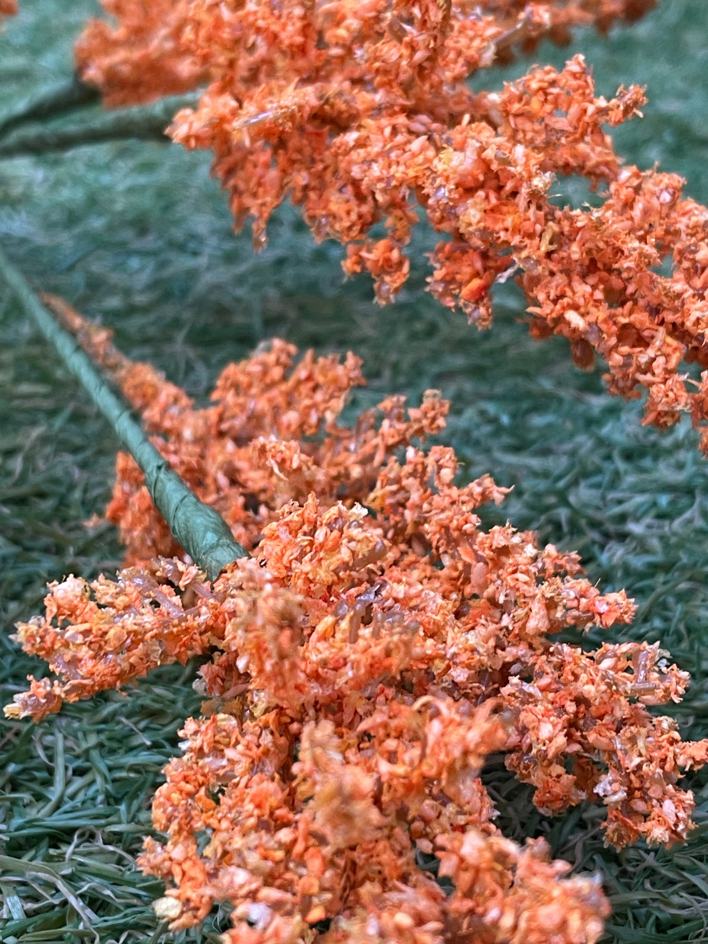 36CM AUTUMN ORANGE ASTILBE