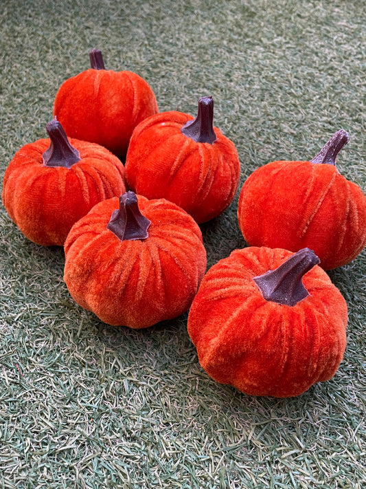 PK6 MEDIUM VELVET ORANGE PUMPKINS