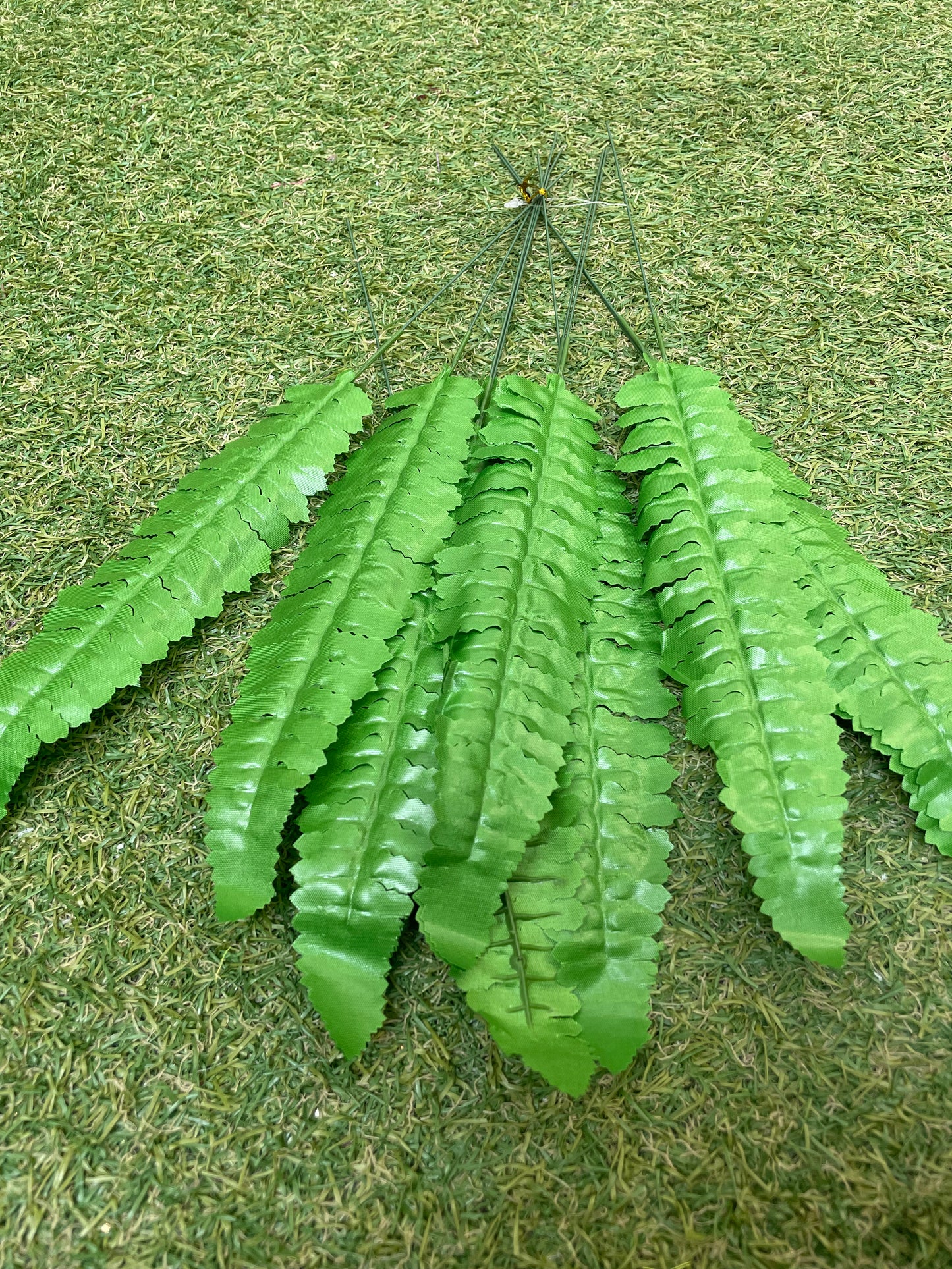 36CM BOSTON FERN 12 STEMS LIGHT GREEN