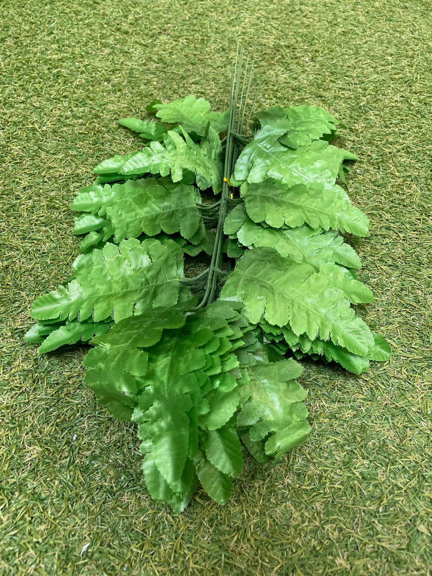 PK12 GREEN LEATHER FERNS