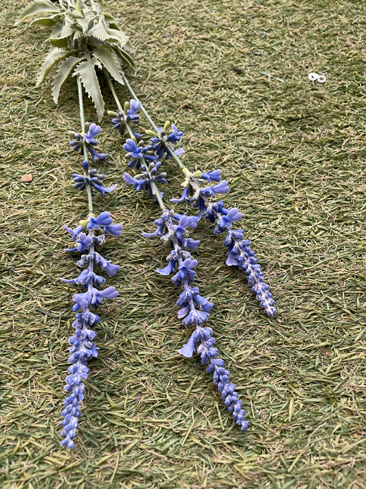 LONG STEM GARDEN LAVENDER BLUE