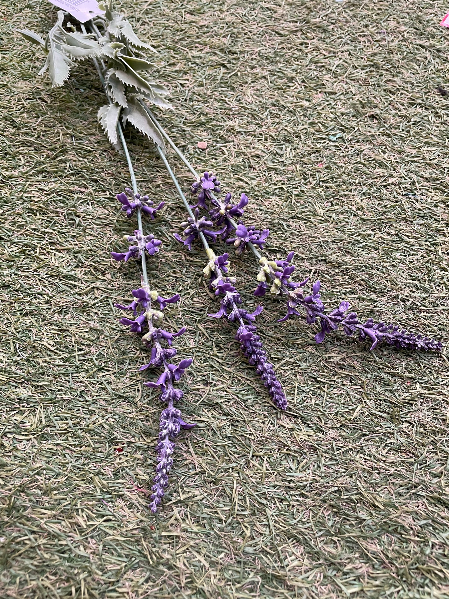 LONG STEM GARDEN LAVENDER PURPLE