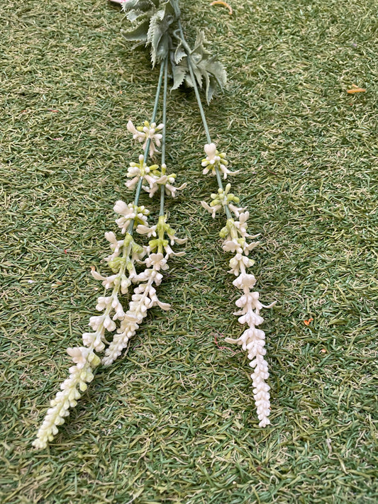 LONG STEM GARDEN LAVENDER IVORY