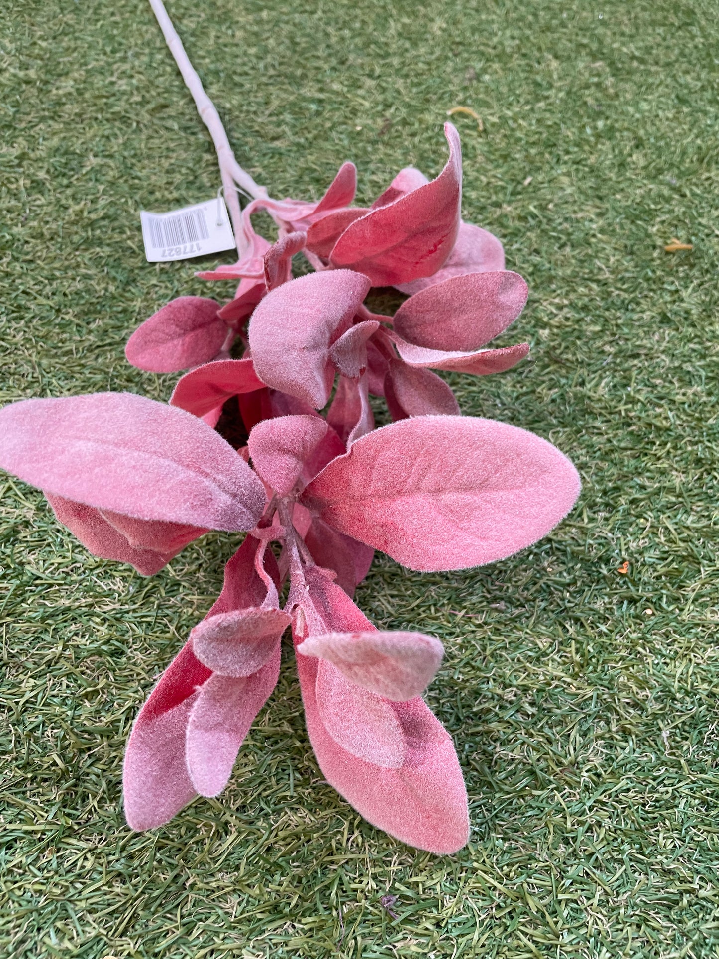 DELUXE LAMBS EAR RED