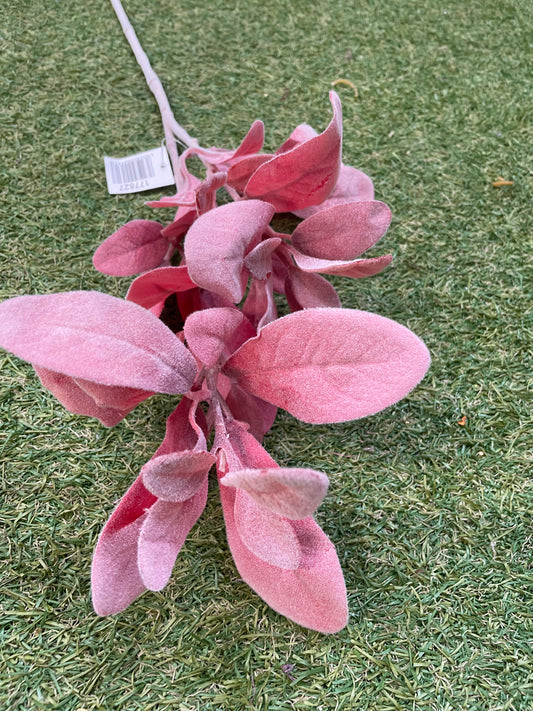 DELUXE LAMBS EAR RED