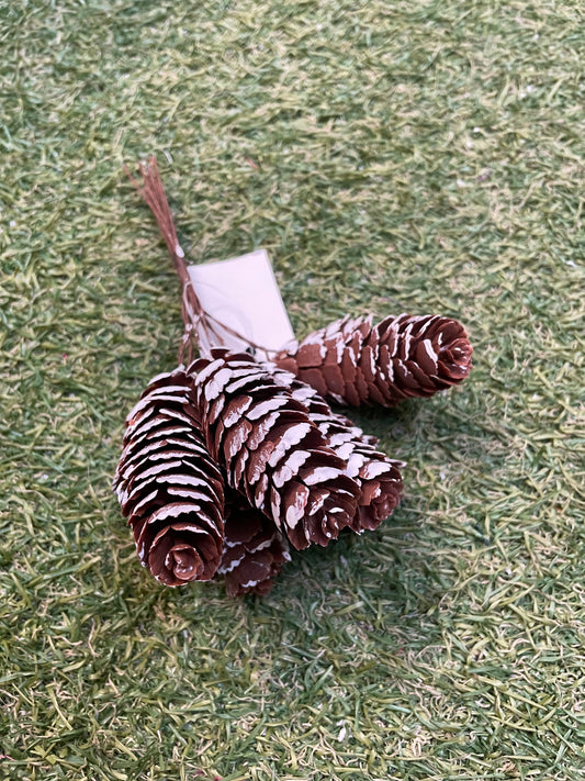 SNOWY MINI LONG PINE CONE