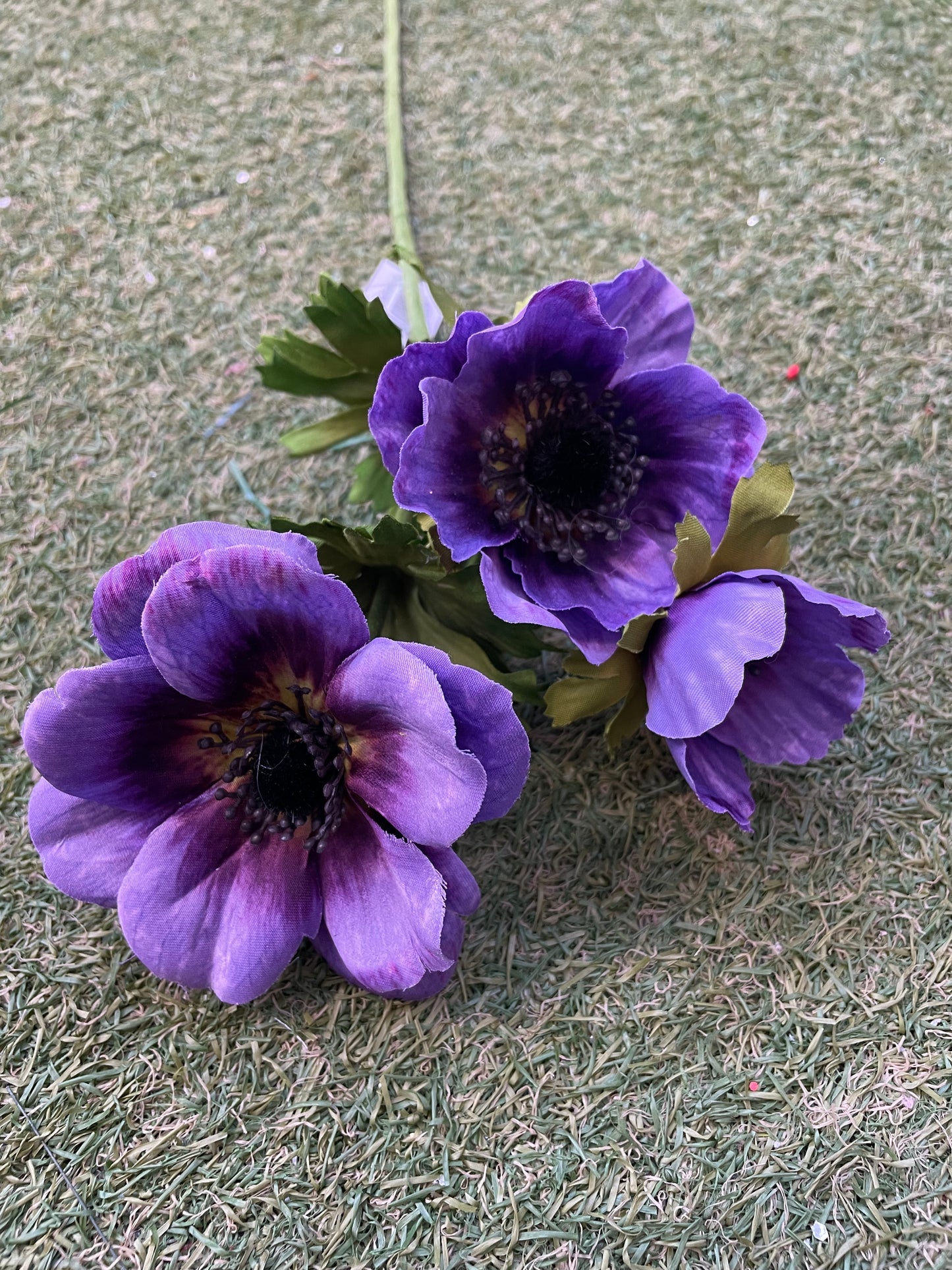 LONG STEM ANEMONE BUNCH PURPLE