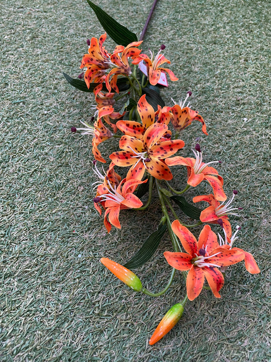 CAP LILY LONG BUNCH ORANGE