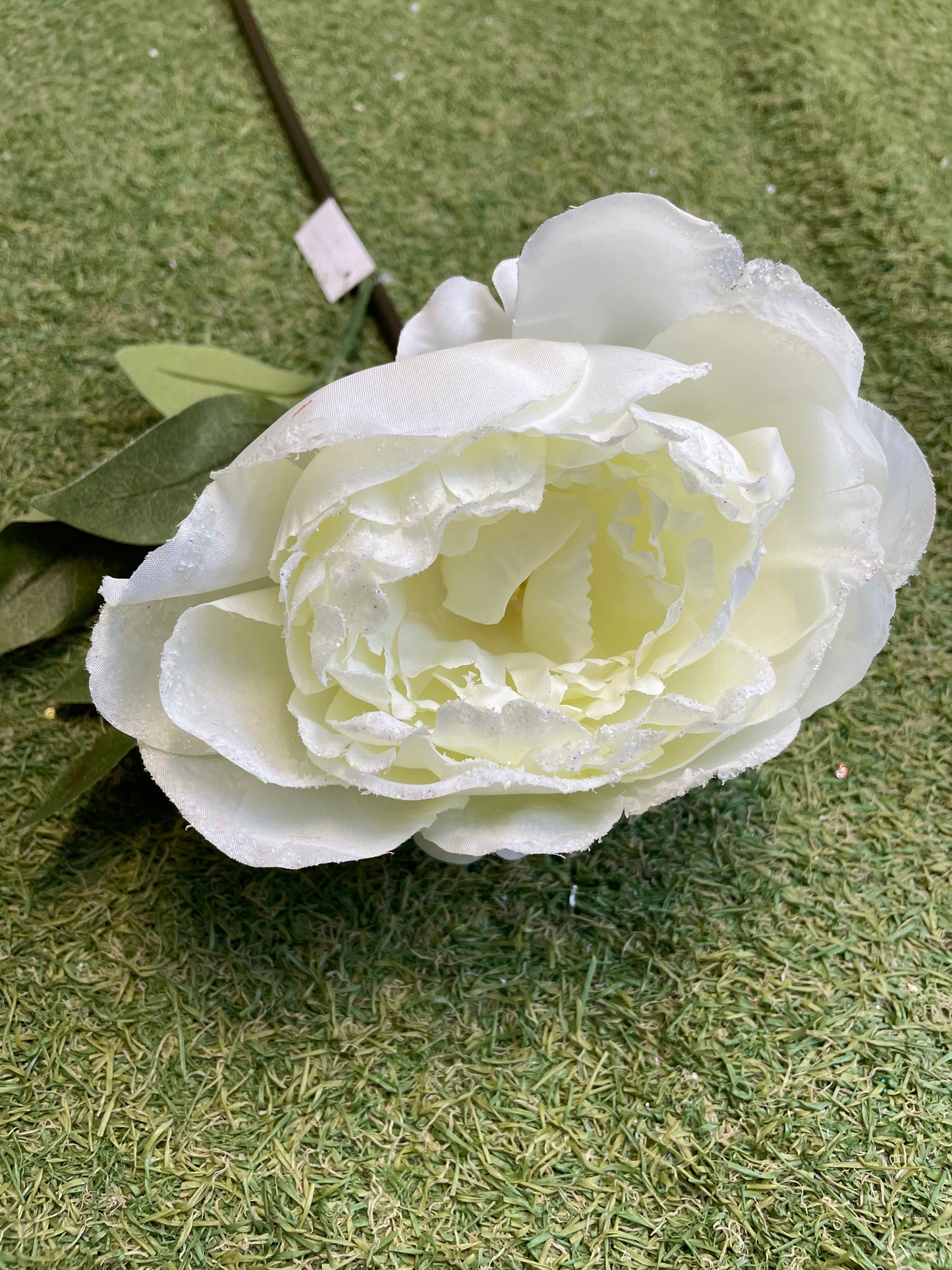 IVORY GLITTER GARDEN PEONY