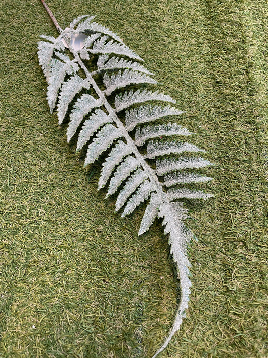 GLITTER BUCKLER FERN STEM