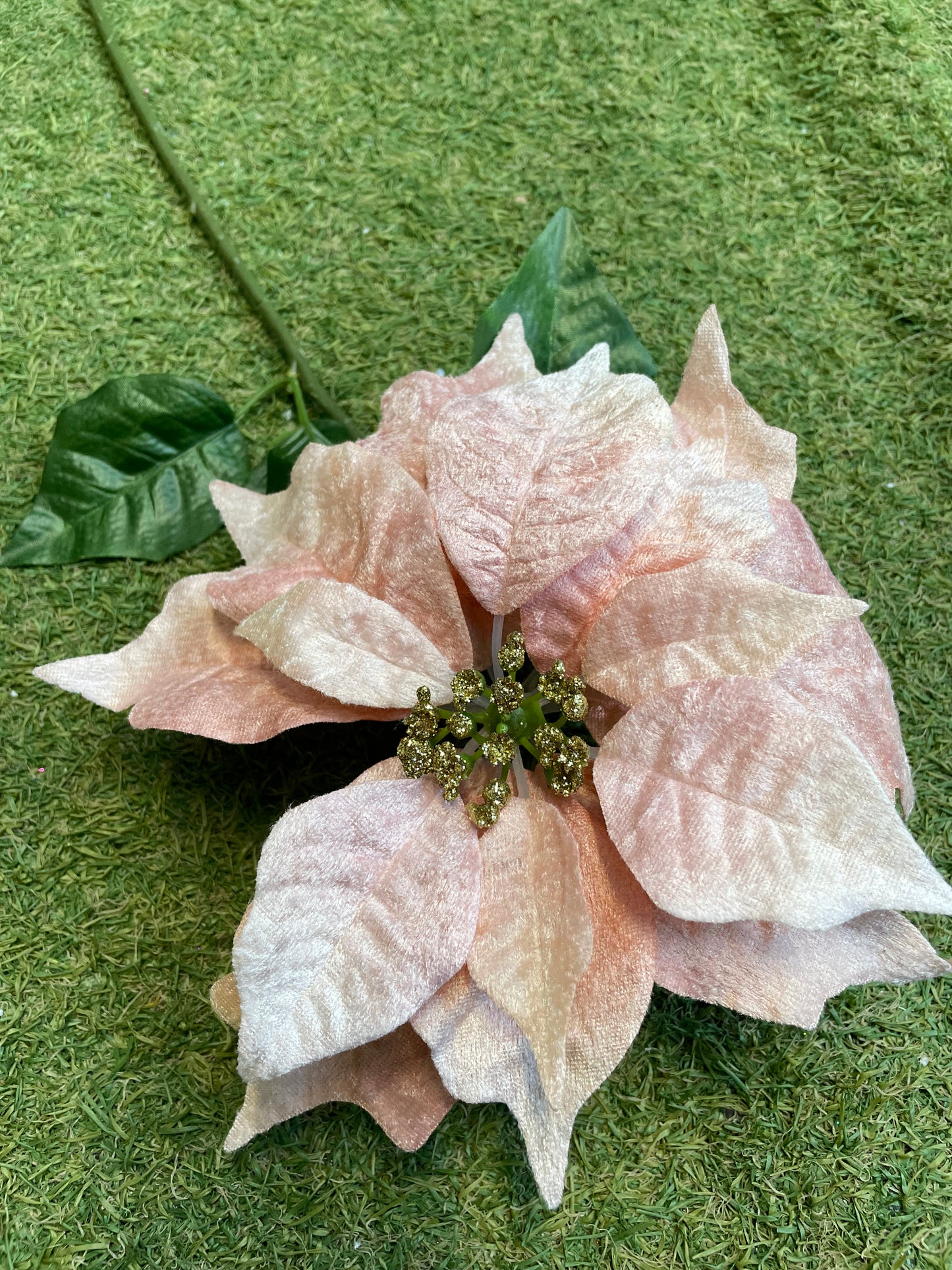 VELVET PINK POINSETTIA STEM