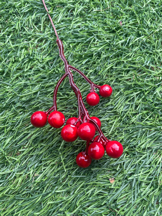 17cm PK20 RED GLOSSY MINI BERRY PICKs