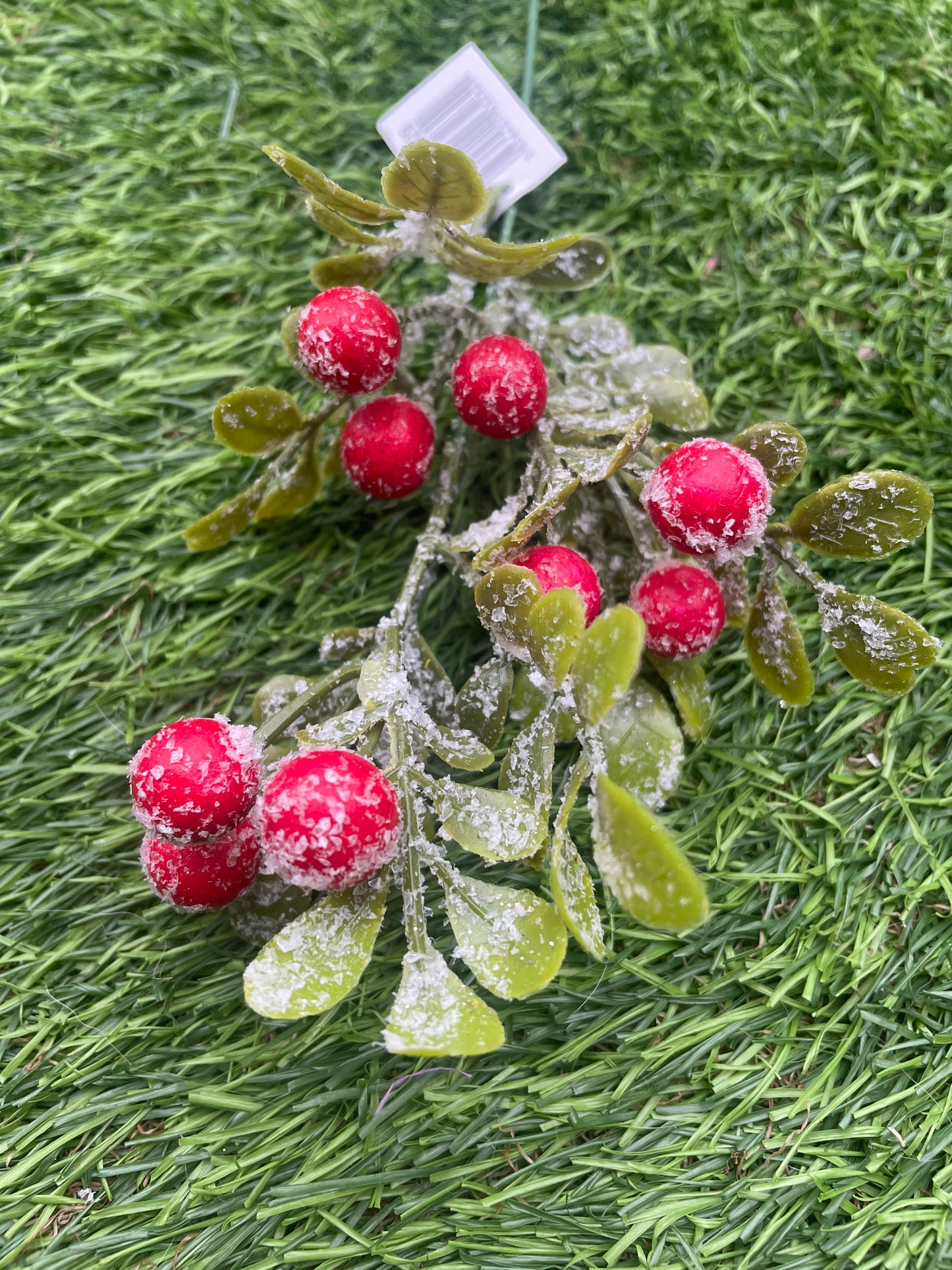 SNOWY RED BERRY PICK