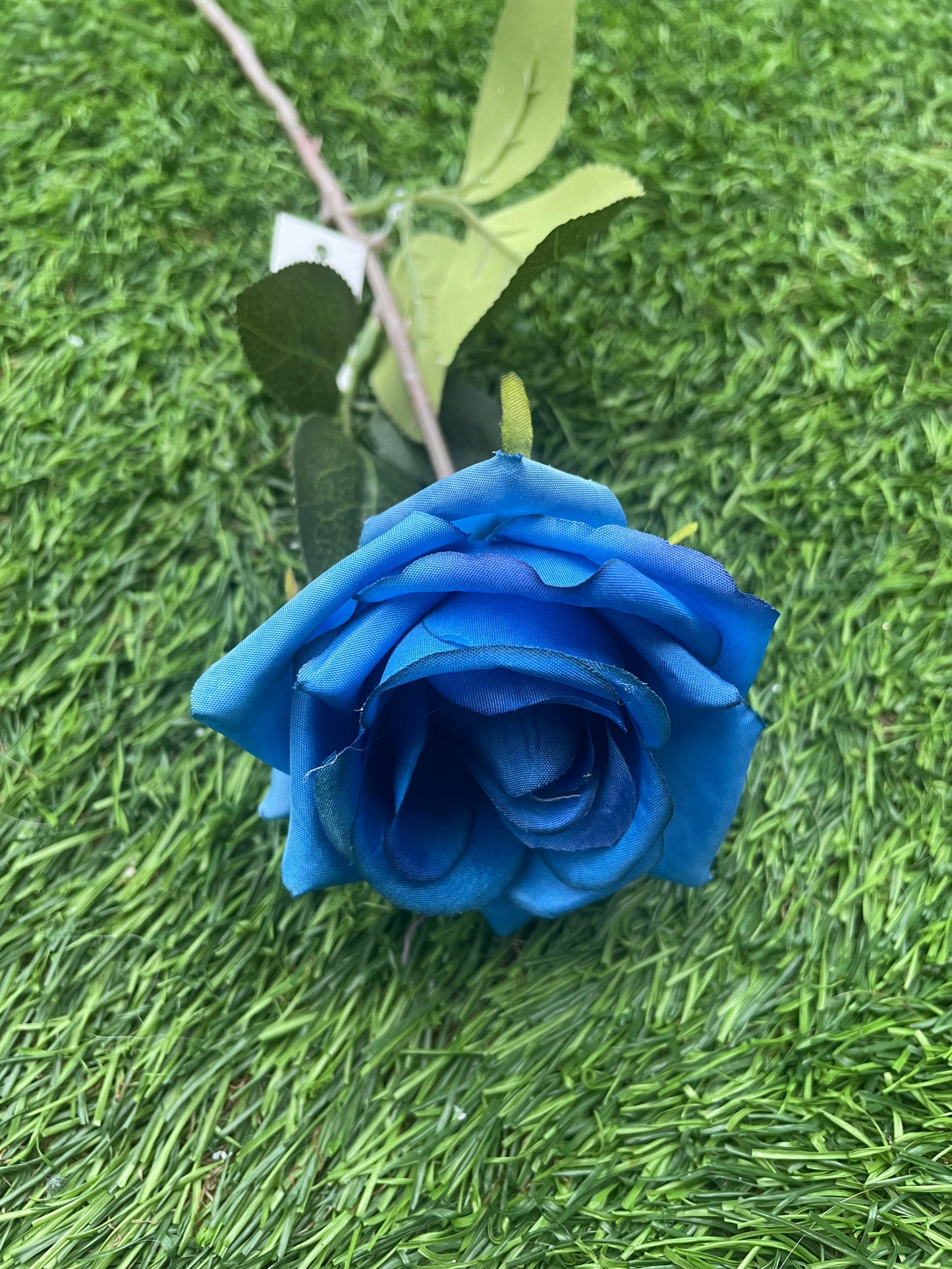 SINGLE DIAMOND ROSE BLUE