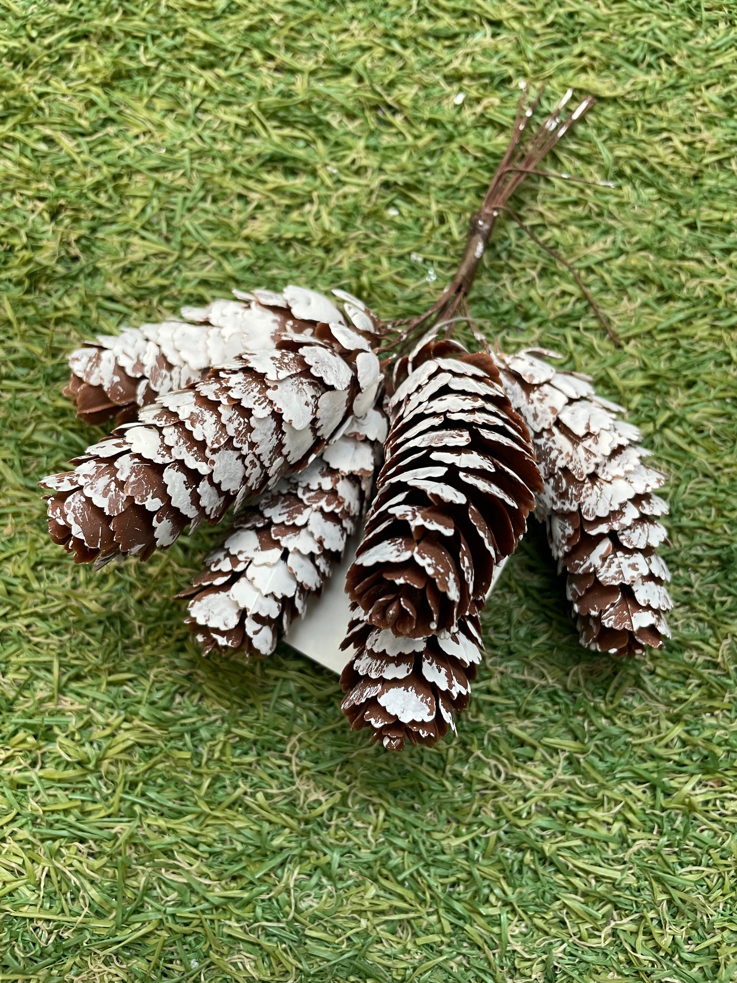 SNOWY LONG PINECONE PICK