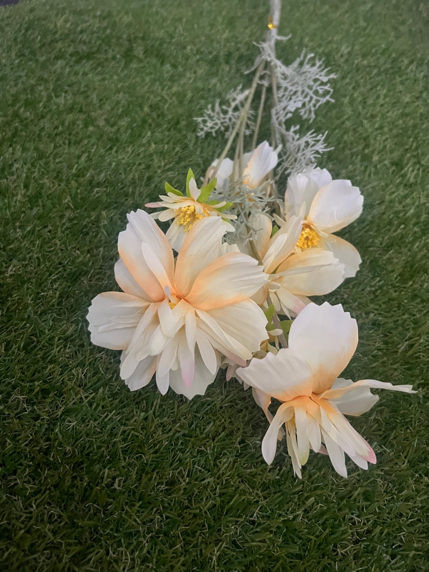 SPIKY LONG STEM COSMOS FLOWER YELLOW