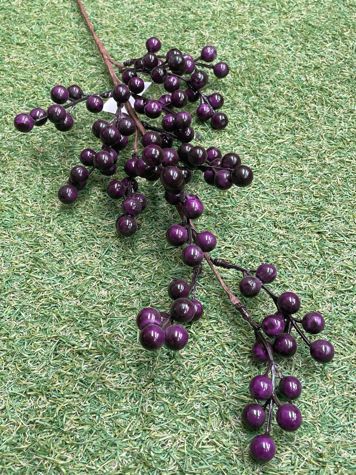 DELUXE BERRY STEM GRAPE