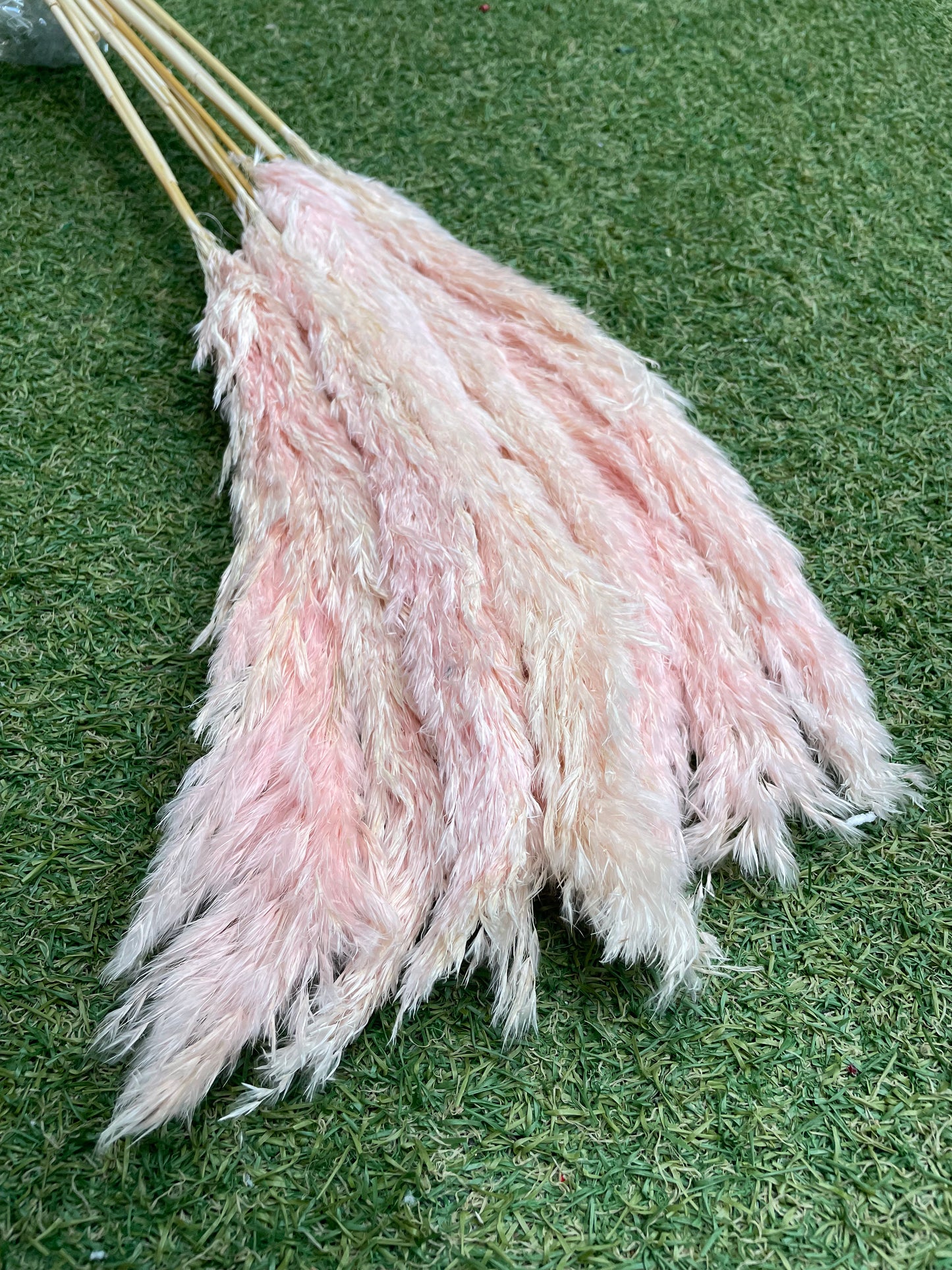 PINK FLUFFY TWO TONE PAMPAS