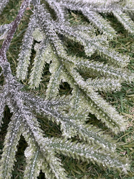 49cm SUPER FROSTED FIR STEM SINGLE