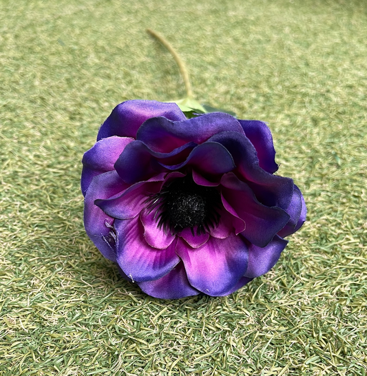 50CM SINGLE ANEMONE PURPLE