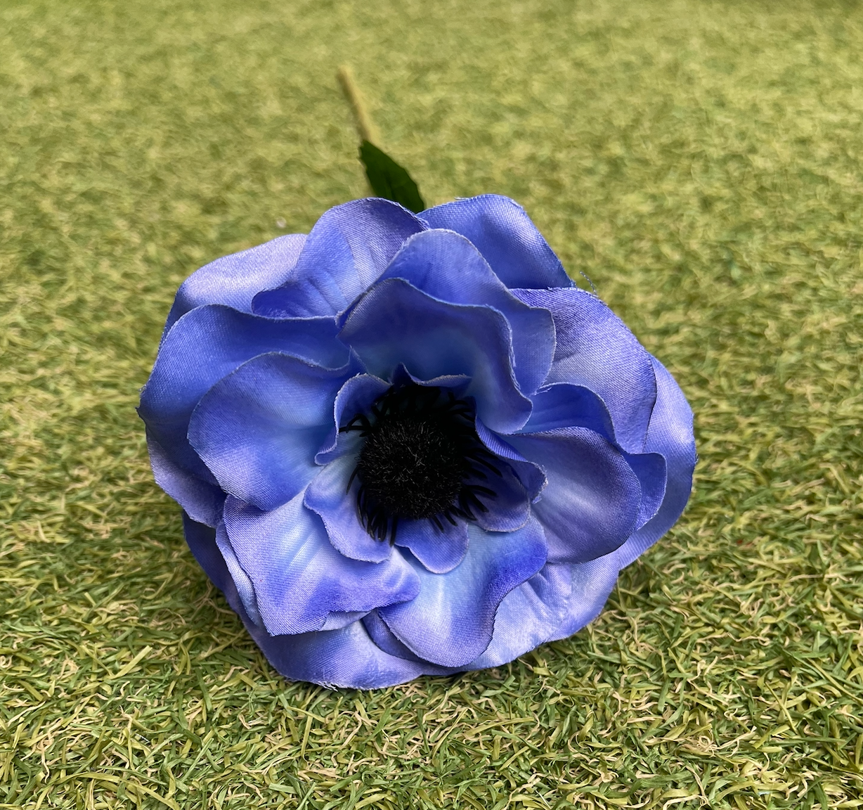 50CM SINGLE ANEMONE BLUE