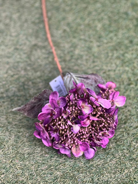 52CM DELUXE LARGE BERRY HYDRANGEAS. PURPLE