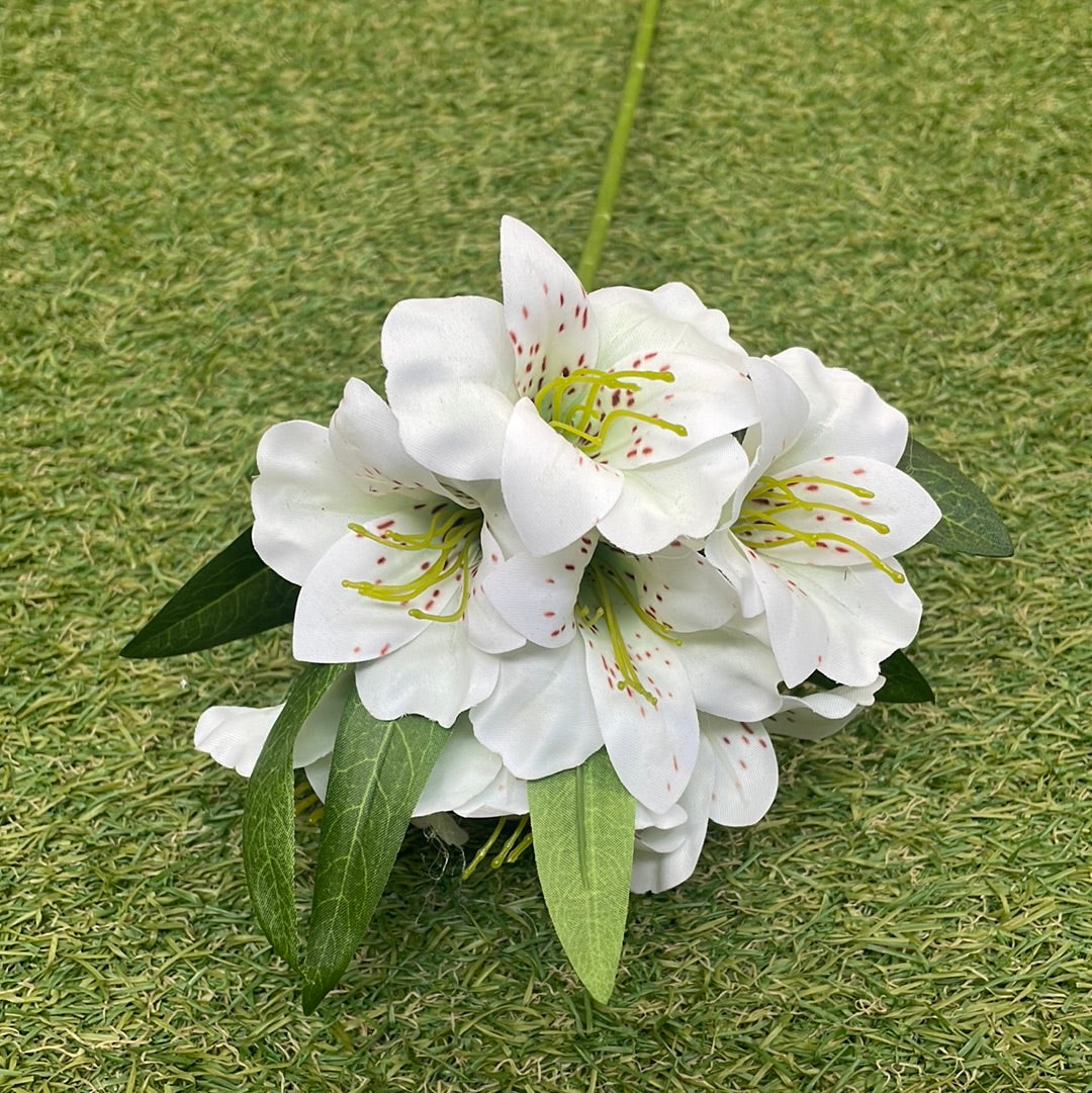 46CM ALSTROEMERIA IVORY