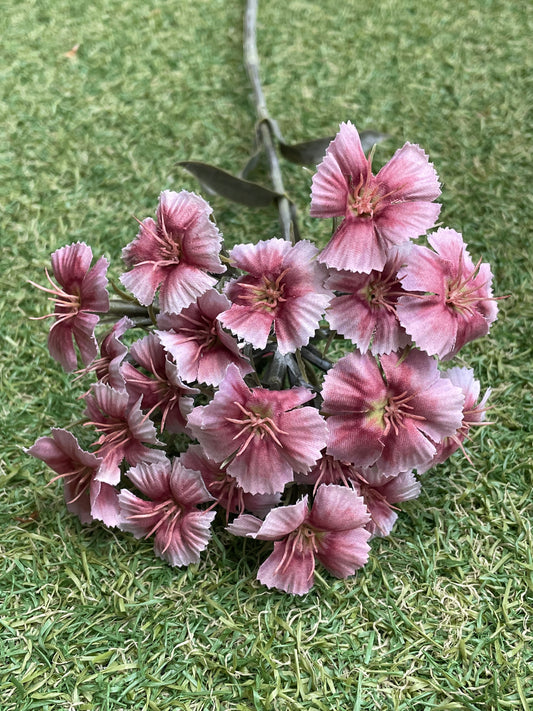 55CM DIANTHUS SPRAY PINK