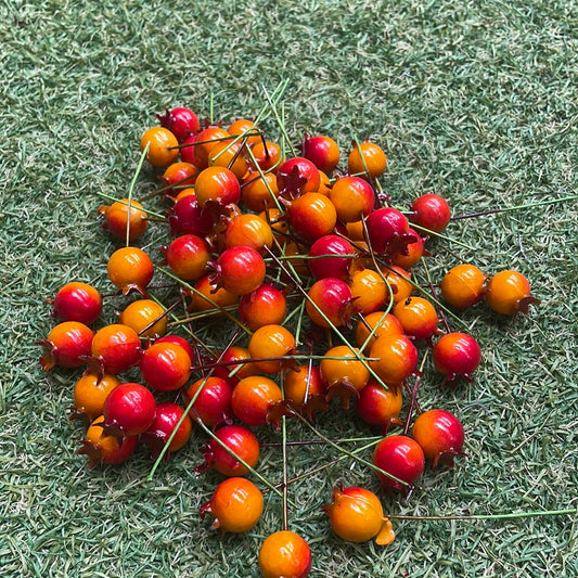 14MM SMALL ORANGE RED ROSE HIPS