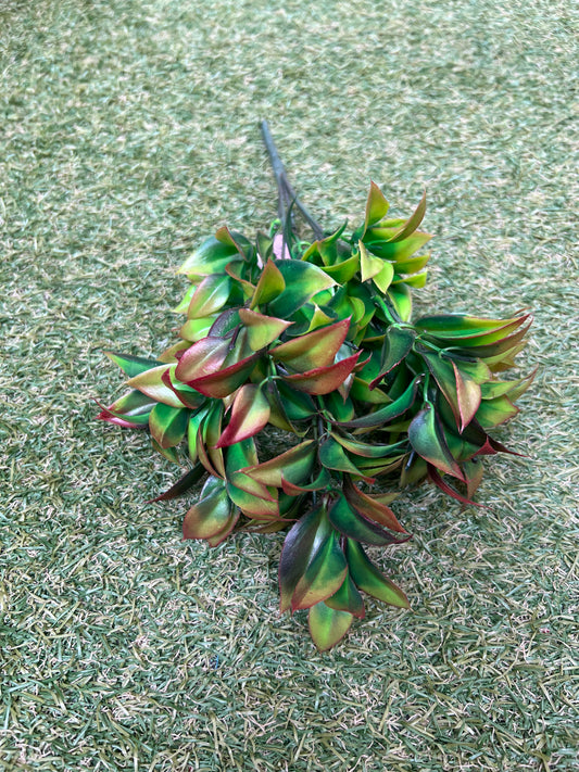 33CM RED TIPPED RUSCUS BUNCH