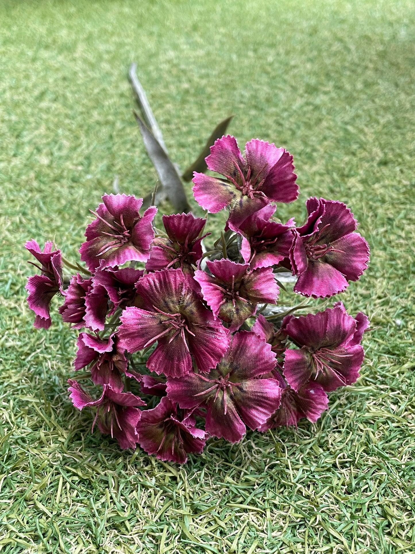 55CM DIANTHUS SPRAY BURGUNDY