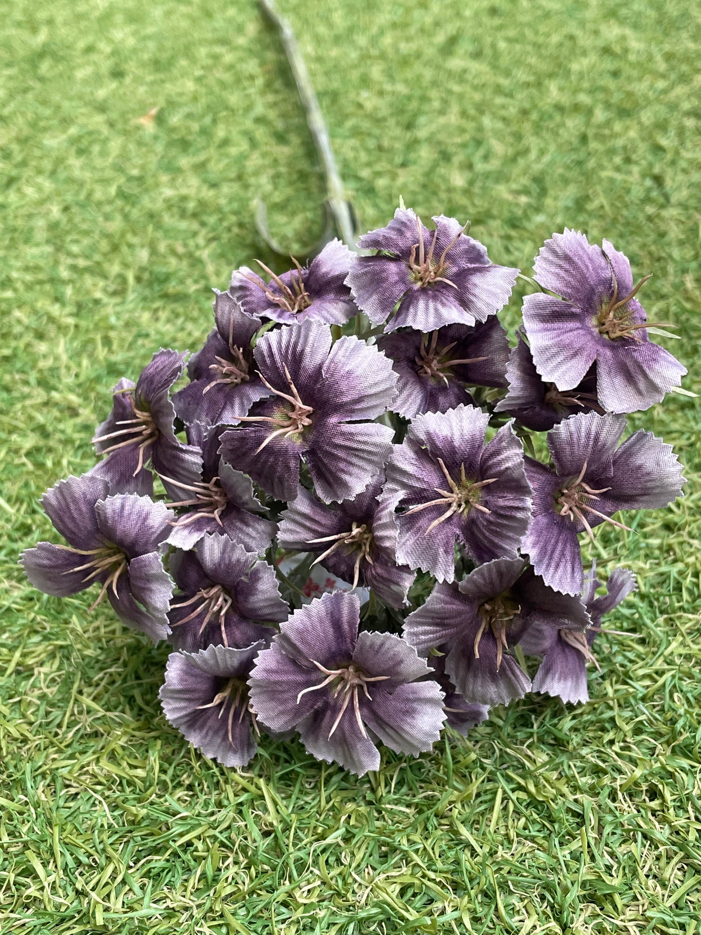 55CM DIANTHUS SPRAY PURPLE